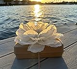 Generic Biodegradable urn for Water and Ground