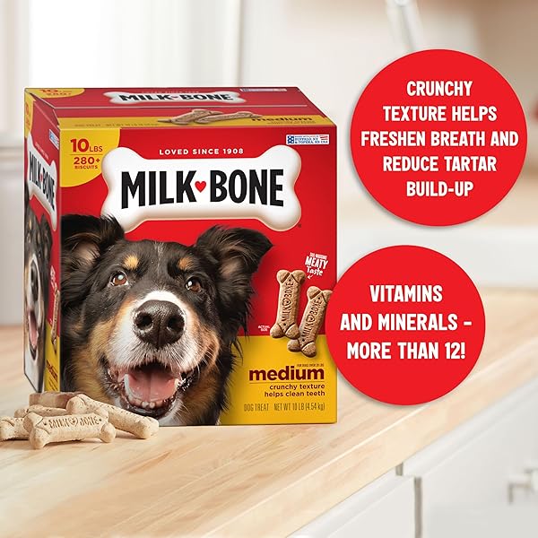 MILK-BONE ORIGINAL DOG TREATS BISCUITS FOR MEDIUM DOGS, 10 POUND