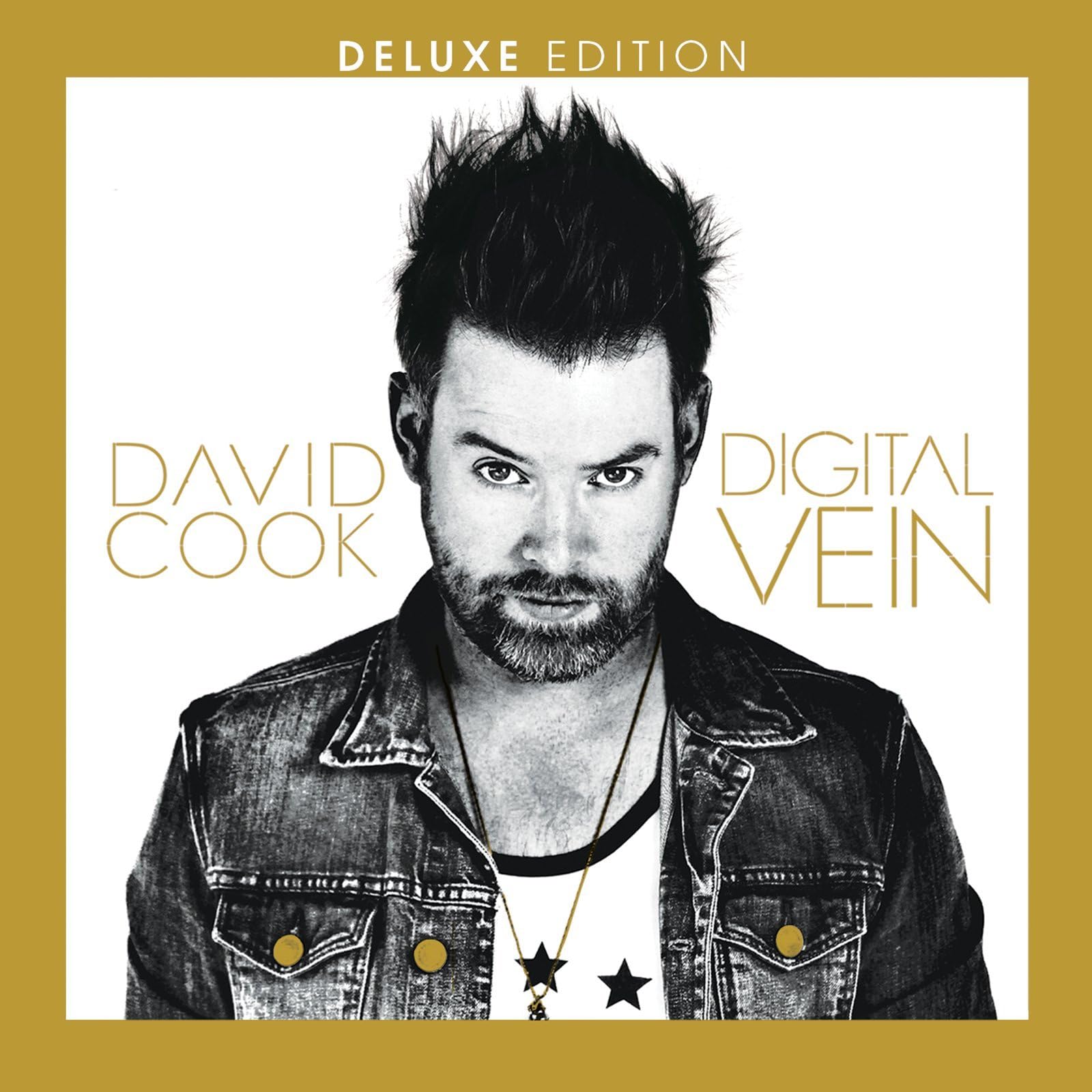 Digital Vein