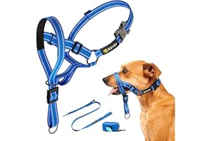 Zevey Dog Headcollar with Leash and Safety Strap Stops Heavy Pulling On The Leash Padded Reflective Head Halter for Small Medium Large Dogs Adjustable Head Harness for Training and Walking, (M, Blue)
