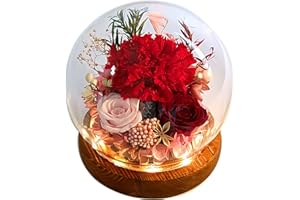 Valley of Rain & Forest Long-Lasting Real Flowers, Unique Floral Gift For you to send Love for All Occasions, for Indoor Decoration (Red Carnation, Pink Rose, Wine-Red Rose)