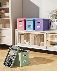 Oterri File Organizer Box with Lid, Hanging Filing