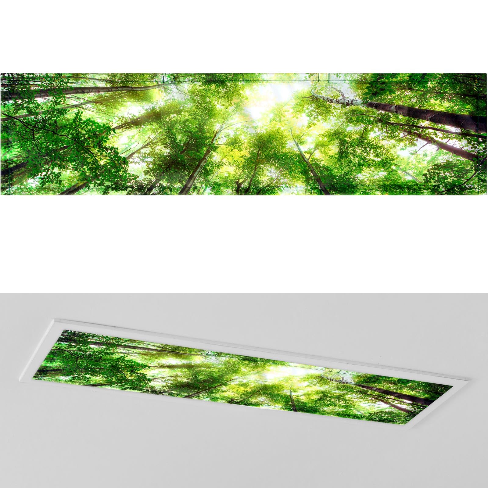 Photo 1 of Wowangce 1 Pc 1 x 4 Feet Fluorescent Covers for Ceiling Lights Magnetic Ceiling Light Cover with 8 Magnets for School Classroom Home Office Drop Lamp Decor (Forest Style)