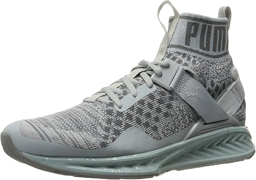 puma ignite evoknit womens silver