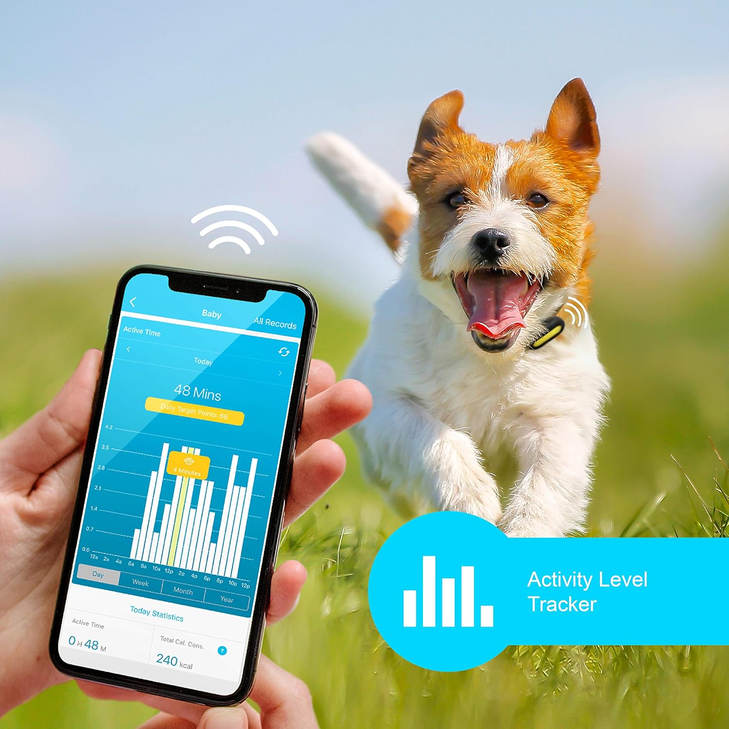 Petble Dog Cat Pet Smart Tag Activity Tracker Lightweight Waterproof 247 Activity Monitor Pet Health Monitor Tracker For Ios Android Not A