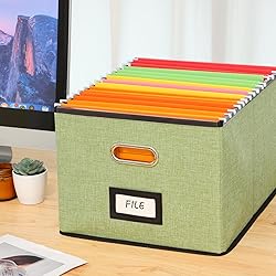 EOOUT 1 Pack File Organizer Box File Filing Box