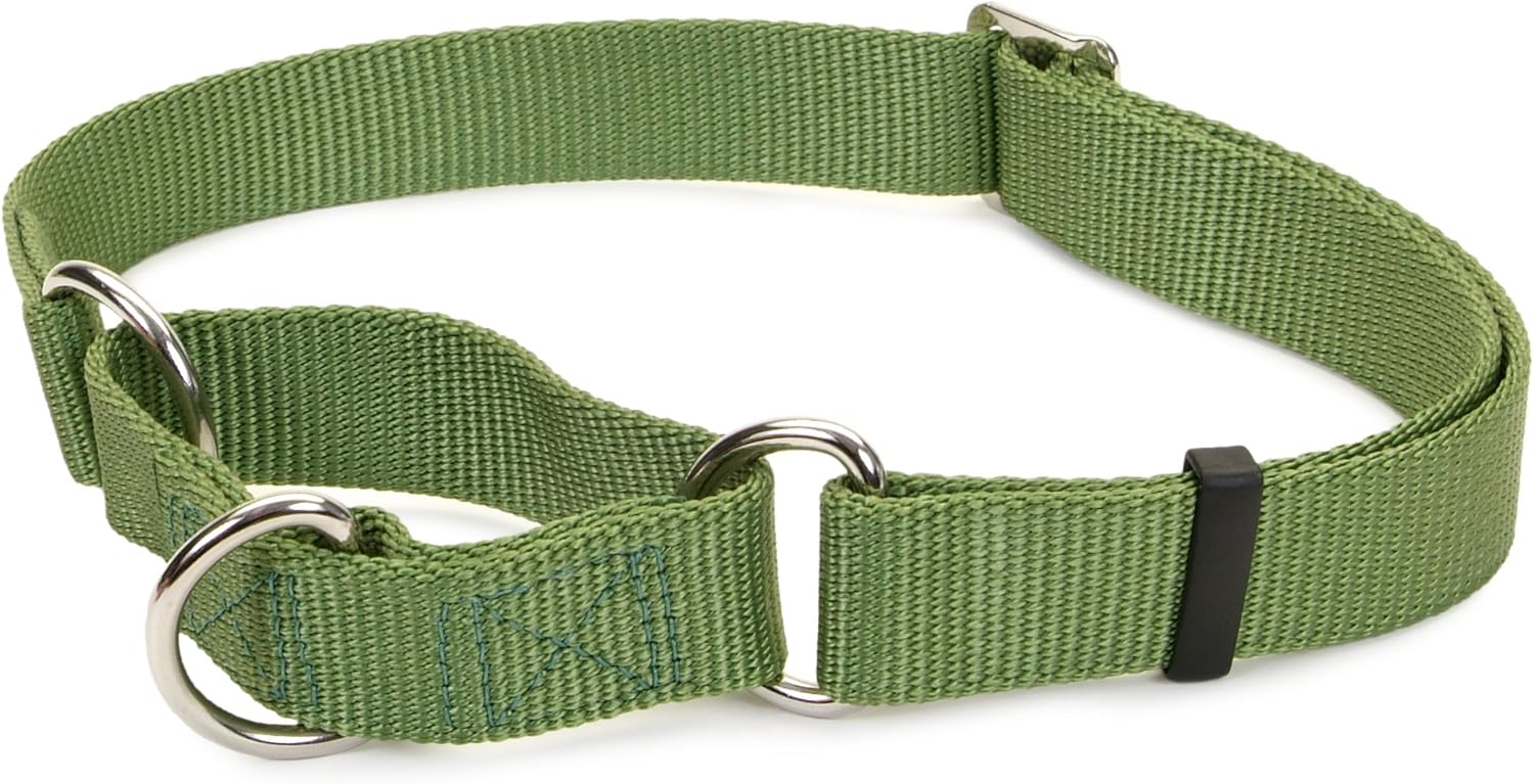 Adjustable No! Slip Martingale Collar, 5/8" Pet Collars