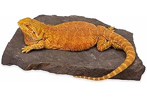 CAROLINACUSTOMCAGES Natural Habitat Rocks, Deep Maroon, one Large Size