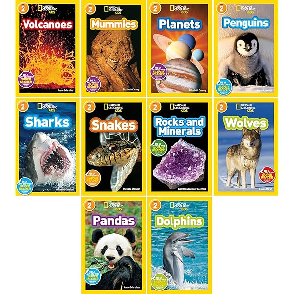 Amazon.com: Rainbow the Koala: Surviving the Wild 1: 9781761065453