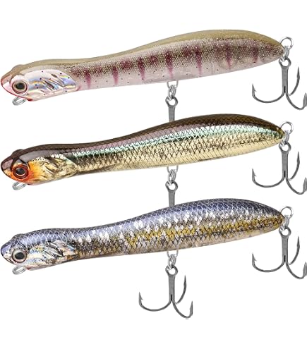 Amazon.com : Megabass PopMax Topwater Fishing Lure - Black Orochi