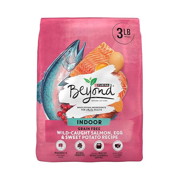 PURINA BEYOND NATURAL GRAIN FREE DRY CAT FOOD...