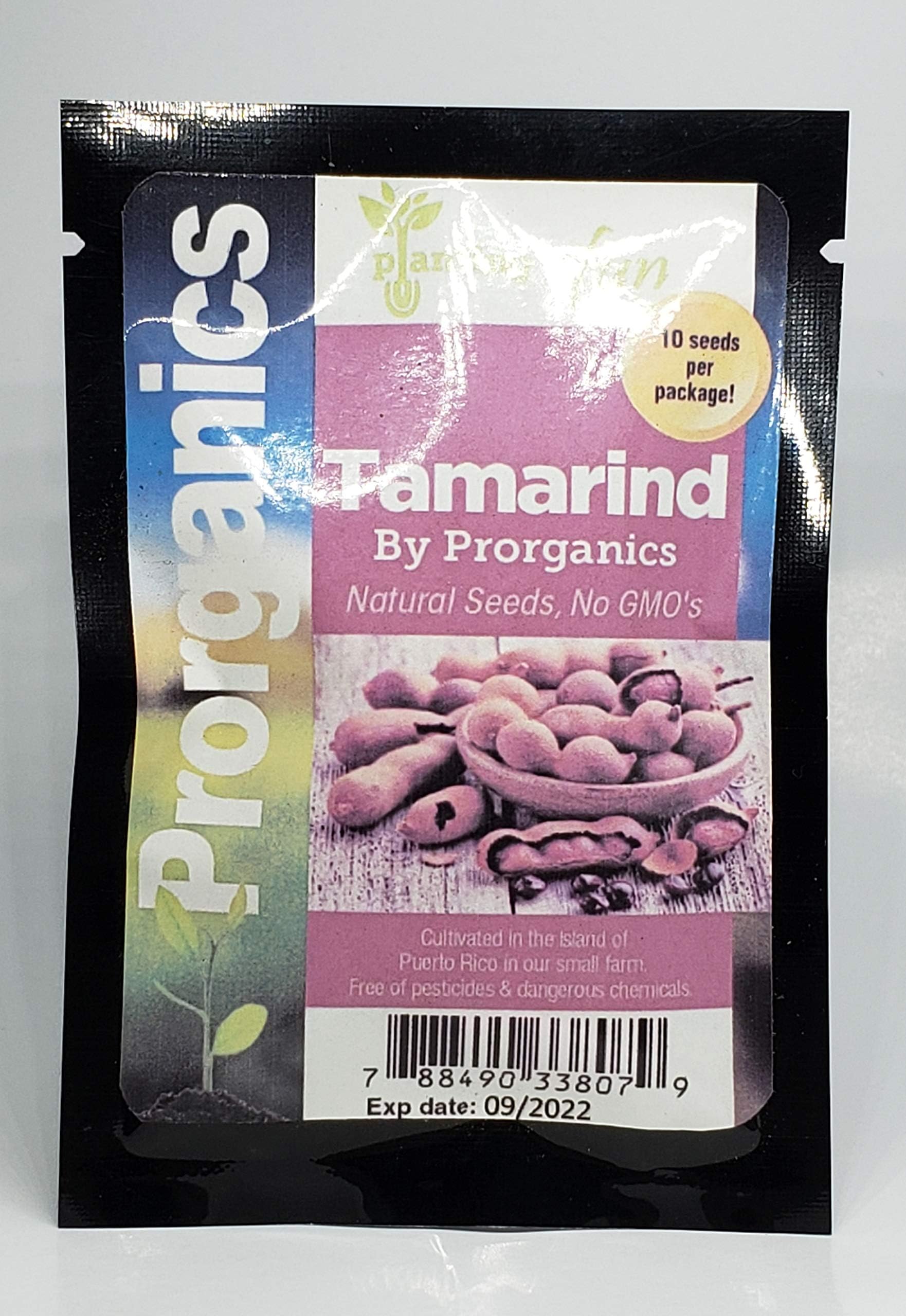 10 Rare Sweet Organic Tamarind Seeds from Puerto Rico