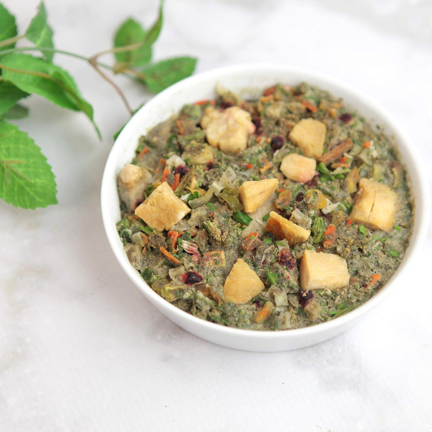 dr harvey's oracle dog food