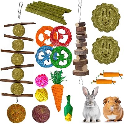 lisetar 21-Pack Rabbit Toys Set Natural Chew Toys for Small Animals