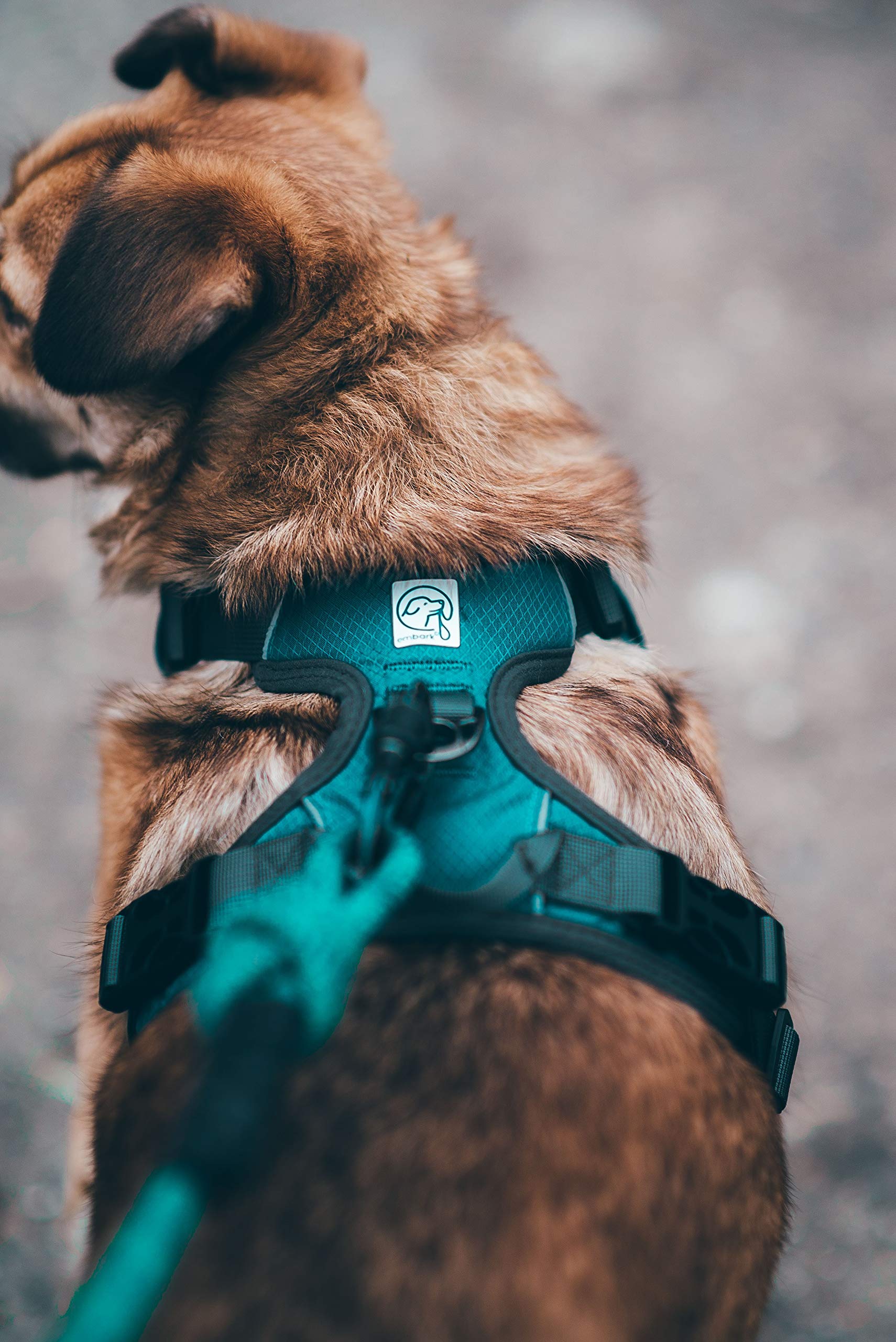 Embark Adventure Dog Harness, Easy On and Off with Front and Back Leash Attachments & Control Handle - No Pull Training, Size Adjustable and Non Choke