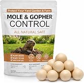 WHSYXGJ Mole &amp; Vole Repellent Balls for Outdoor Garden &amp; Lawn, Peppermint Oil, Long-Lasting Underground Pest Control, Pet &amp; Plant Friendly, Ready-to-Use Repeller for Gophers, Armadillos &amp; Burrowing