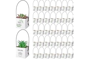 Qilery 120 Pcs Thank You Succulents Wraps 2 Inch Succulent Gift Wraps Bags Kraft Paper Plant Gift Bag Party Favor Bags for Wedding Baby Shower Birthday Party, Plants Not Included (White)