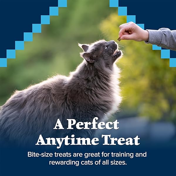 BLUE BUFFALO WILDERNESS CRUNCHY CAT TREATS, GRAIN-FREE TREATS FOR CATS MADE WITH NATURAL INGREDIENTS, GREAT FOR TRAINING, TASTY CHICKEN FLAVOR, 12-OZ. TUB