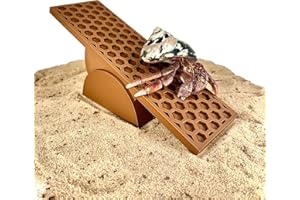 Lucky Critter Hermit Crab Toy Seesaw | Hermit Crab Toys Tank Decor | Hermit Crab Decoration Accessories Supplies Ornaments | 