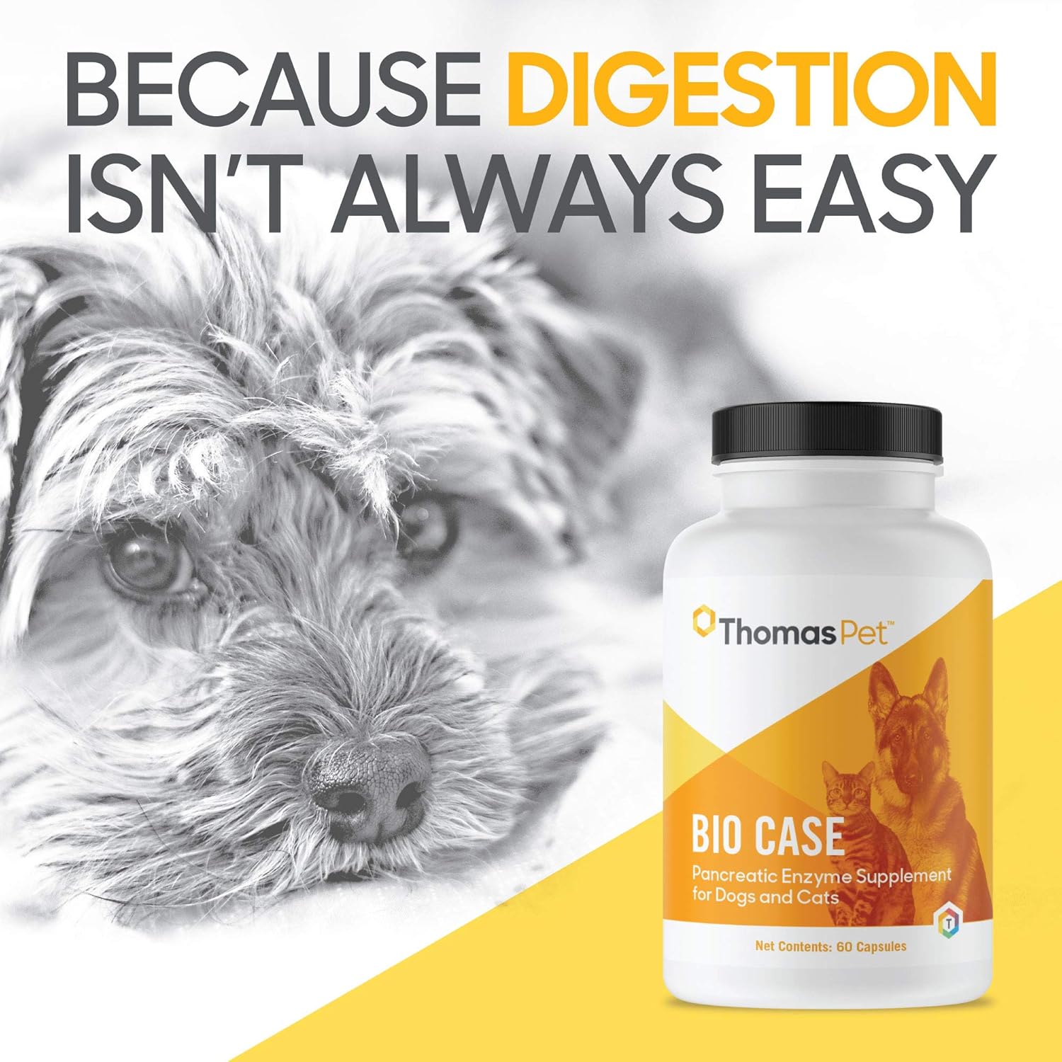 pancreatic enzymes for cats