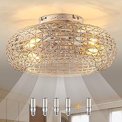 Alaruder Boho Caged Ceiling Fans with Lights Flush
