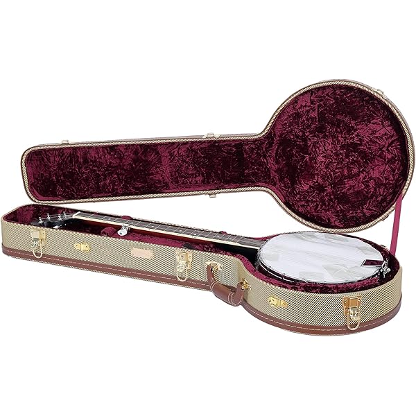 Travelite TL70 Deluxe T and SStyle Electric Guitar Case A Wise Choice