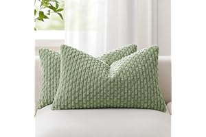 Kevin Textile Spring Lumbar Decorative Throw Pillow Covers 12x20 2 Packs Inch for Living Room Couch Bed Sofa Soft Striped Cor