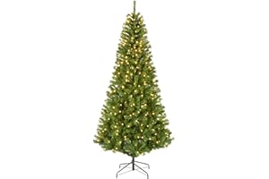 National Tree Company 7.5 ft Pre-lit Artificial Christmas Tree, Slim Winchester Pine, 350 LED Lights, 1,000 Branch Tips, Includes Stand, Green