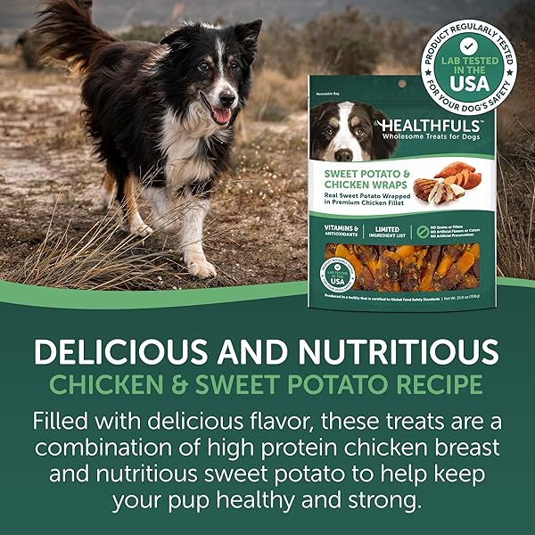 HEALTHFULS CHICKEN WRAPPED SWEET POTATO DOG TREATS, 16OZ