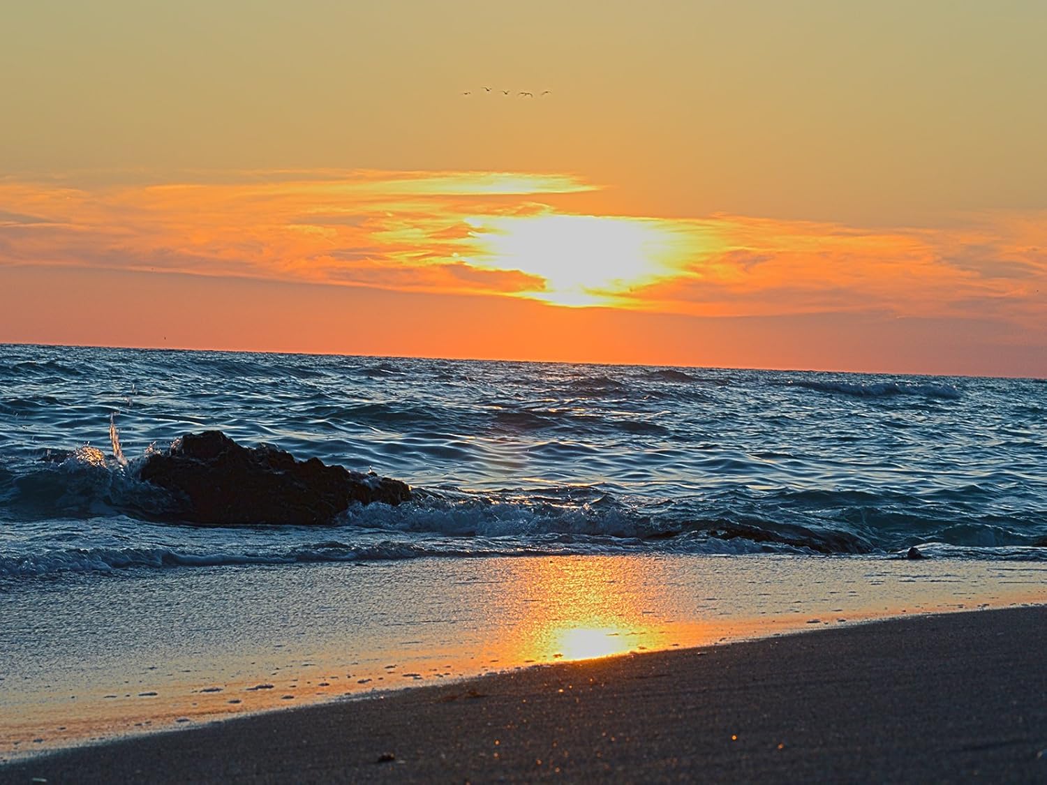 Sunset Poster Florida Poster Caspersen Beach Venice Florida 24x36
