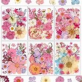 Dried Flowers for Resin, Resiners Dried Flowers for