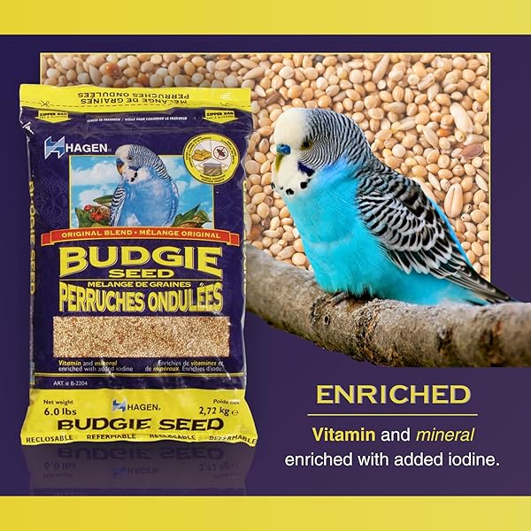 HAGEN PARAKEET/BUDGIE STAPLE WHITE MILLET BIRD SEED – PREMIUM BLEND, NUTRITIONALLY BALANCED, FORTIFIED WITH VITAMINS & MINERALS, DUST-FREE MIX FOR BUDGIES, 6 LB BAG
