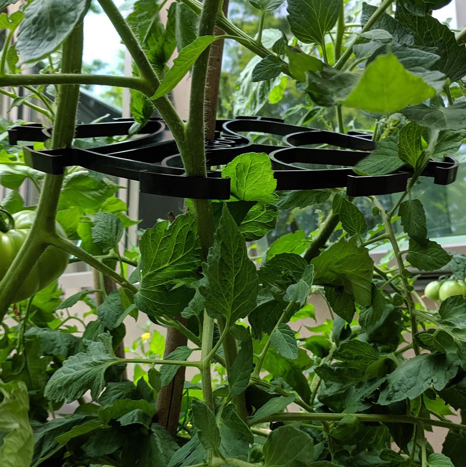 Mighty Crop Single-Plant Trellis (4-Pack)