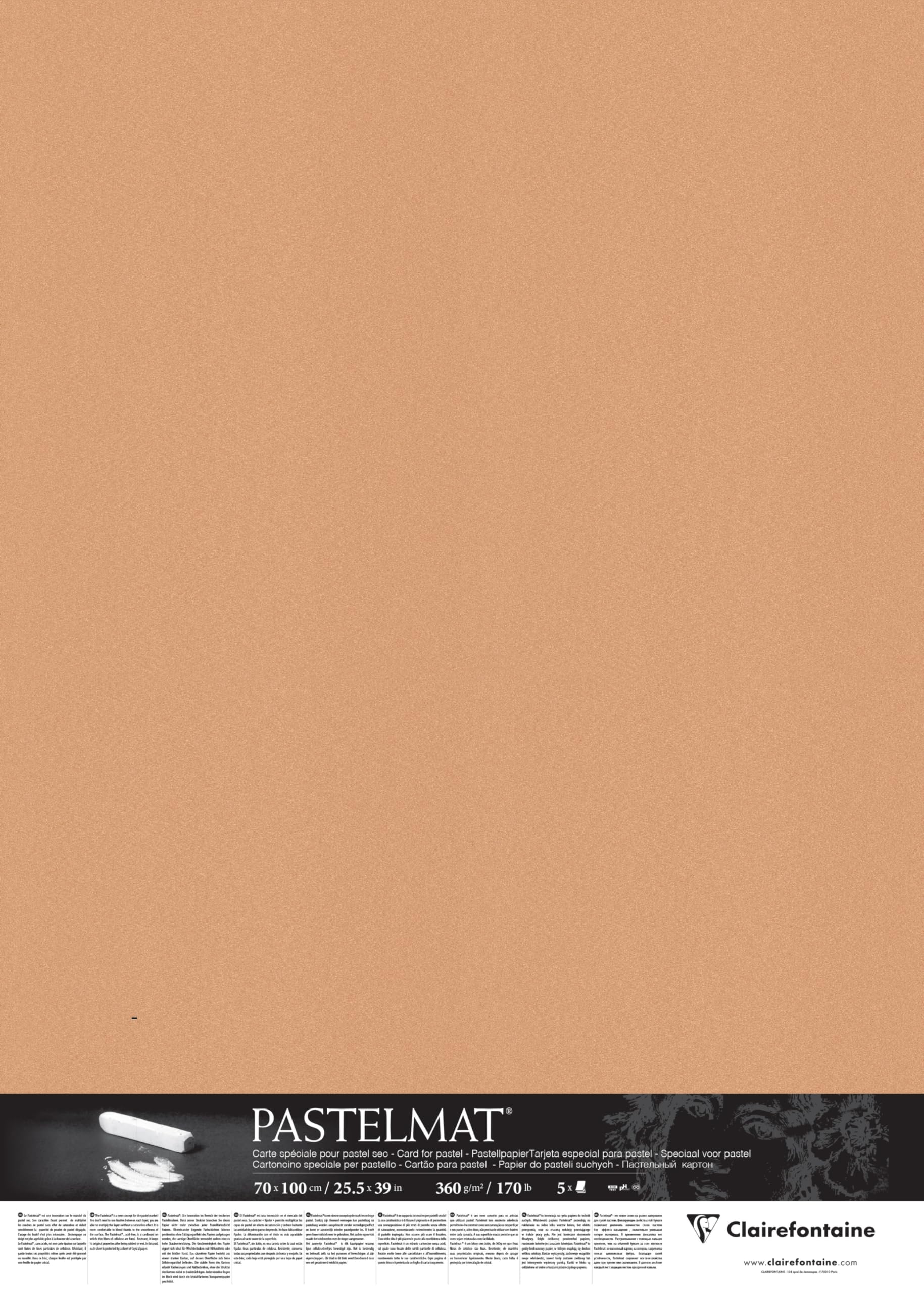 Clairefontaine - Ref 296012C - Pastelmat Card Sheets (Pack of 5 Sheets) - 360gsm Card - 70 x 100cm - Sienna Colour - Specially Formulated For Use With Pastels