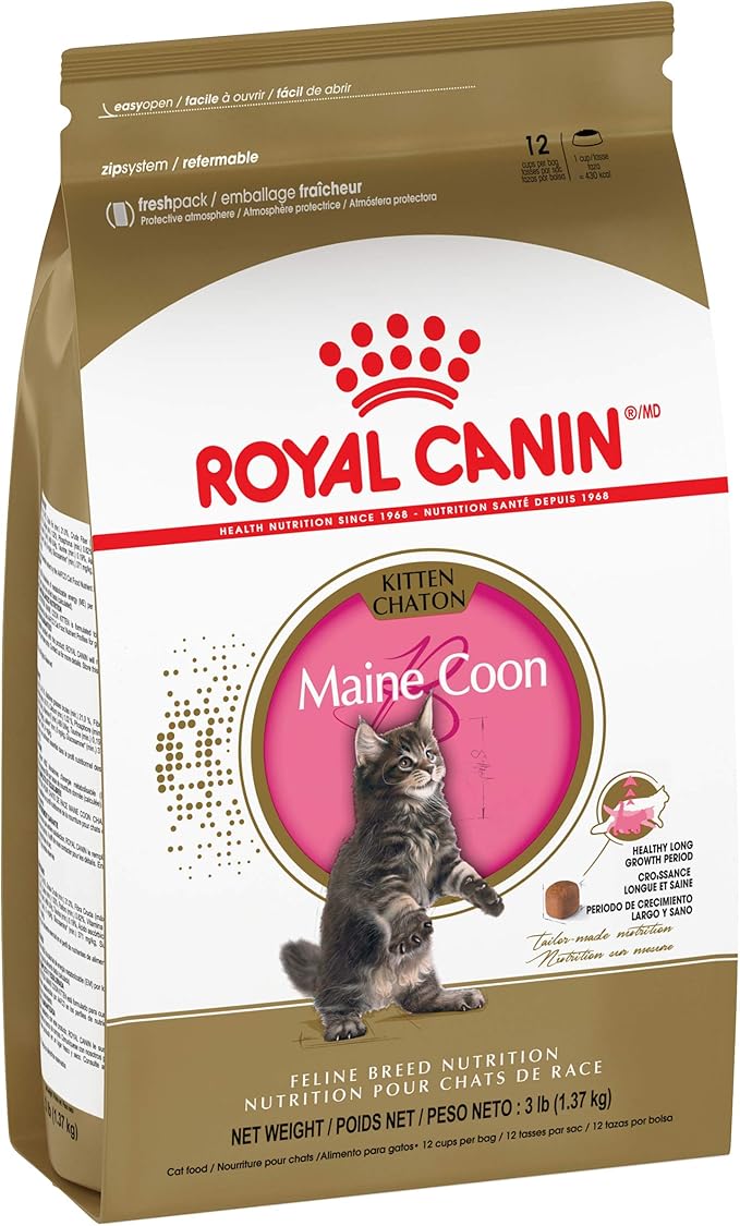 royal canin maine coon adult