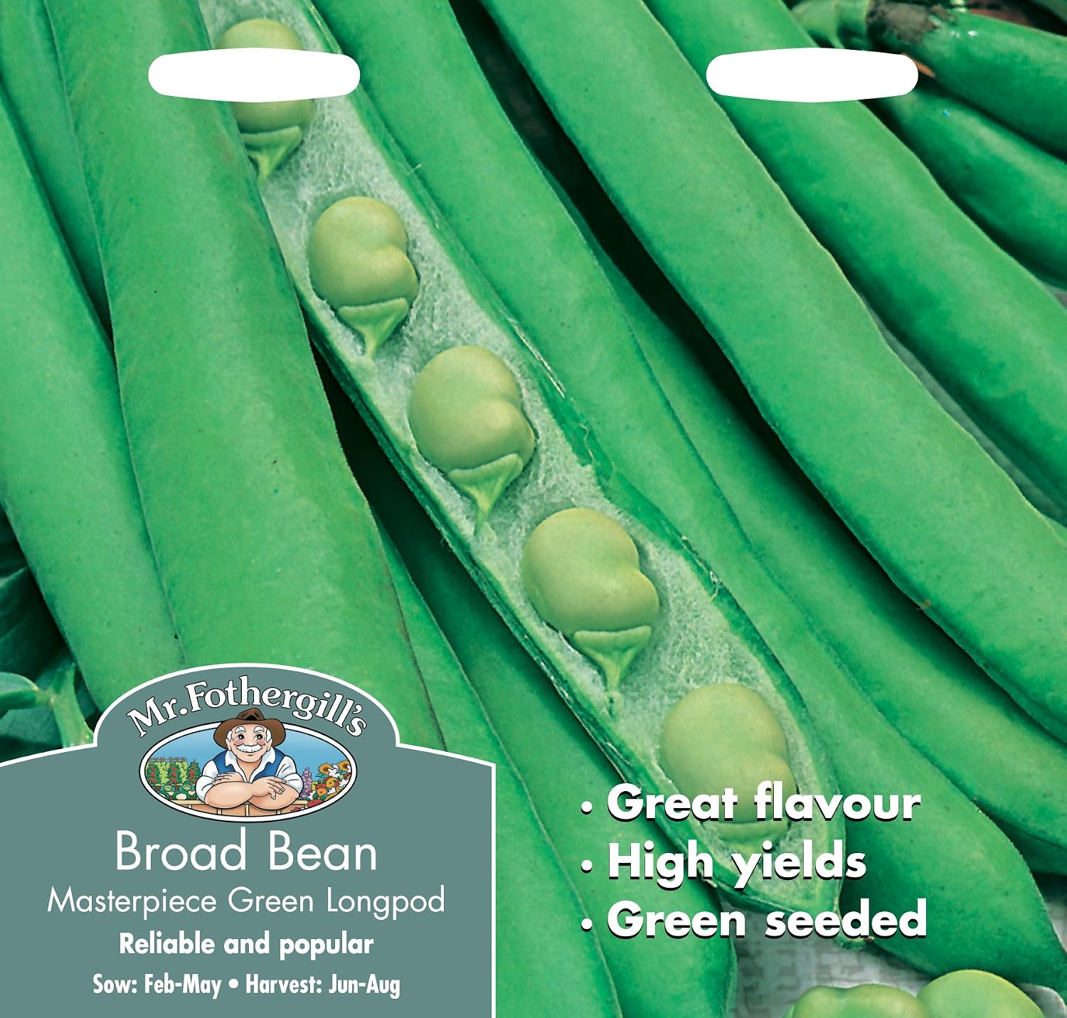 Mr Fothergill's 20086 Broad Bean Masterpiece Green Longpod, 13.8 cm x 2.7 cm x 14.9 cm