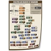 Human Evolution Canvas Wall Art, Evolution and Branches of Humankind Poster, Anthropology Educational Print for Classroom and Home 12x18inch(30x45cm) Unframe-style