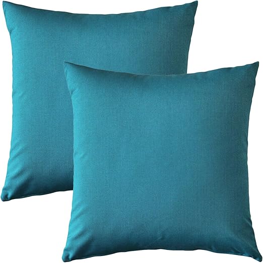 PILLOW DÉCOR Sunbrella Outdoor Pillow, Peacock, 20"x20
