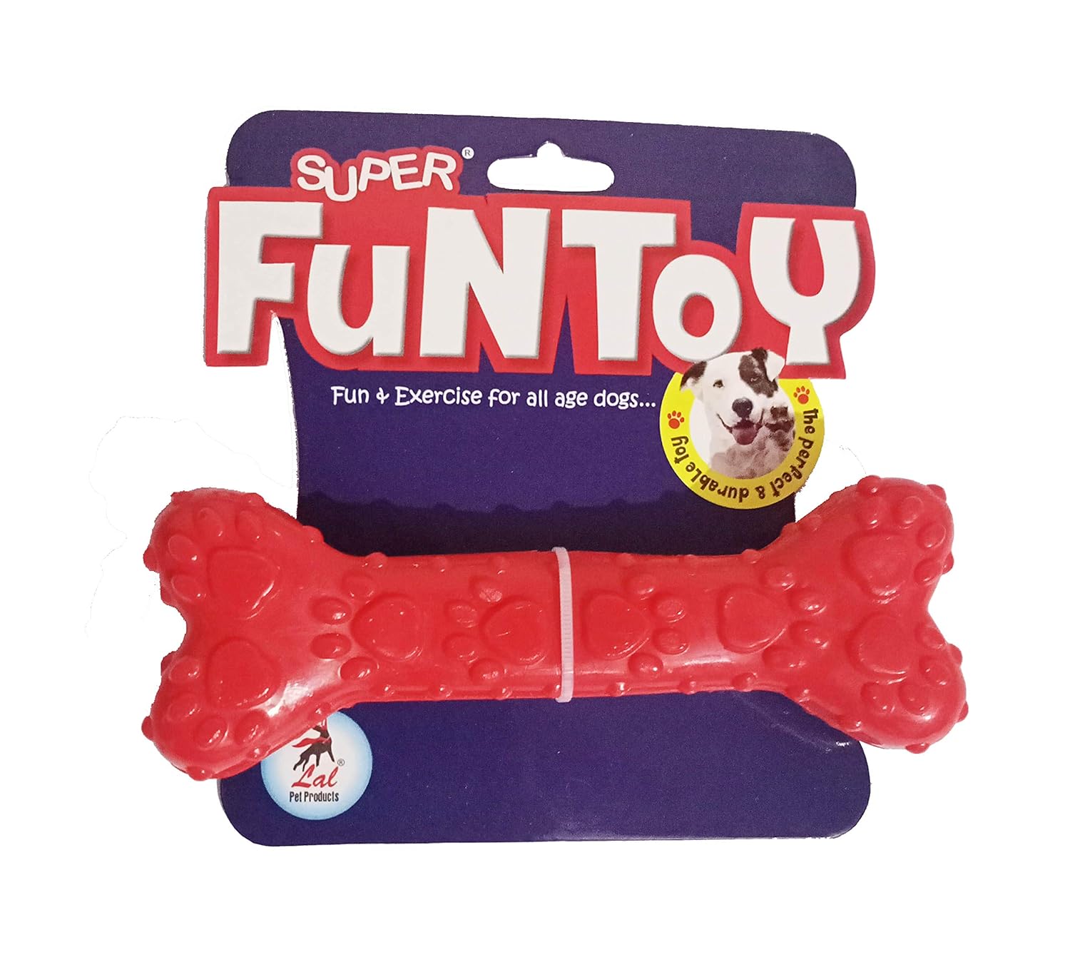 Buy Rs Pet Rubber Dog Bone Chew Toy for Dogs & Puppy Teething Toy, 6