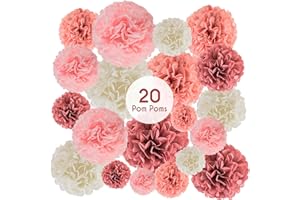 EpiqueOne 20 Piece Tissue Paper Pom Poms | Blush Pink, Dusty Rose, Mauve & Cream | Colorful Paper Flower Wall Decorations for Bridal Showers, Baby Showers, Weddings, Graduations, Tea Parties & More