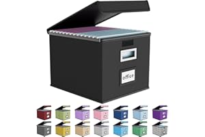 Huolewa File Organizer Box with Lid, Collapsible File Folder Organizer for Office Document Storage, Filing Box with Plastic S