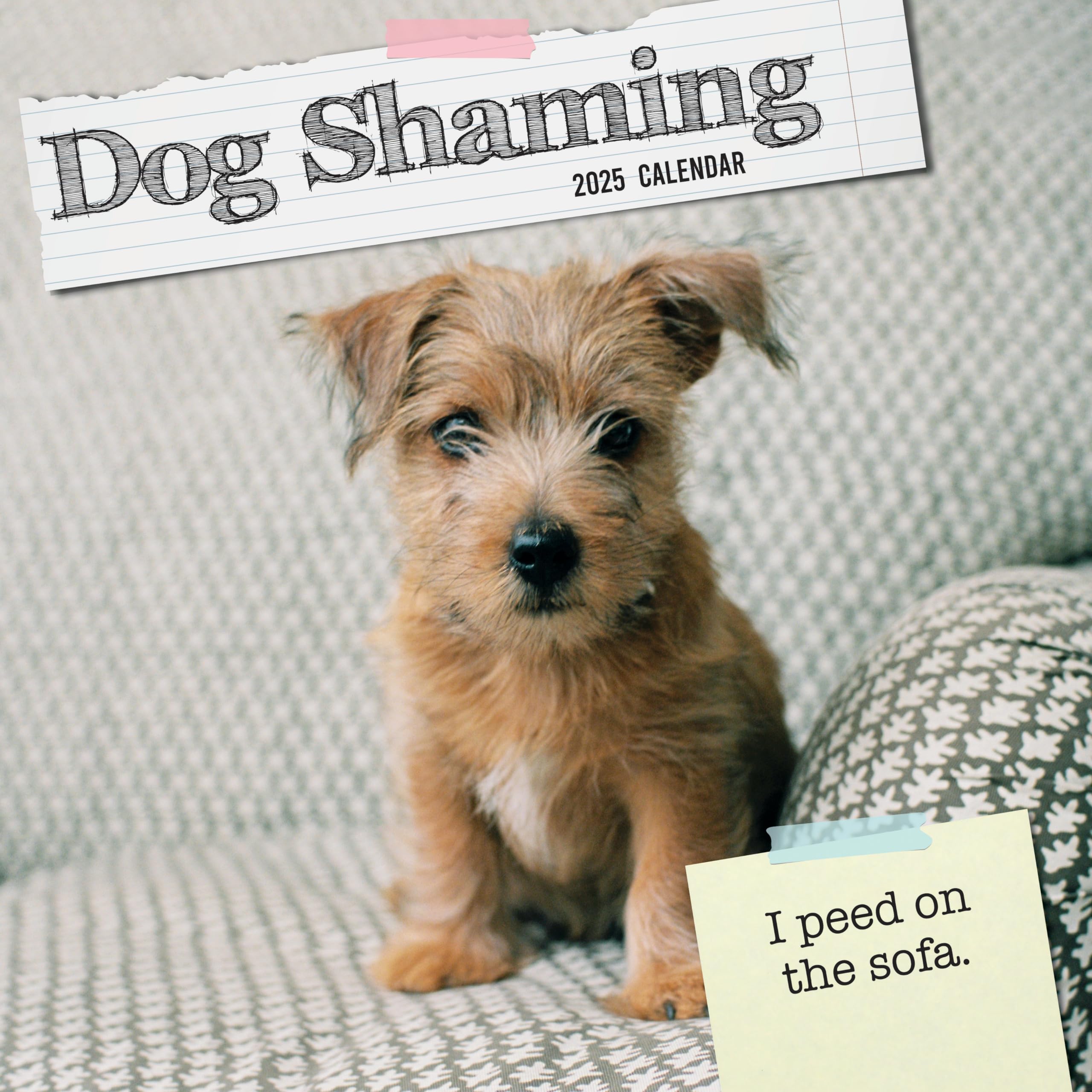 2025 Square Wall Calendar, Dog Shaming, 16-Month Humor Theme with 180 Reminder Stickers (30 x 30 CM)