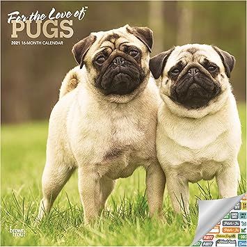 pug calendar 2021 Poiis4dimjctpm pug calendar 2021