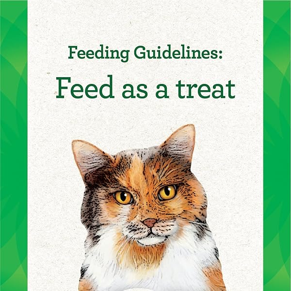 GREENIES FELINE PILL POCKETS FOR CATS NATURAL SOFT CAT TREATS, CATNIP FLAVOR, 1.6 OZ. POUCH (45 TREATS)