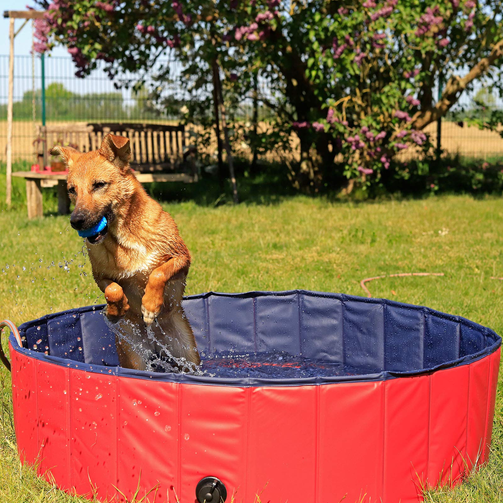 lionto Foldable dog pool made of scratch-resistant PVC material, Ø 120 cm, height 30 cm, anti-slip coating & drain plug for quick emptying, no pump required, robust children's pool, blue/red