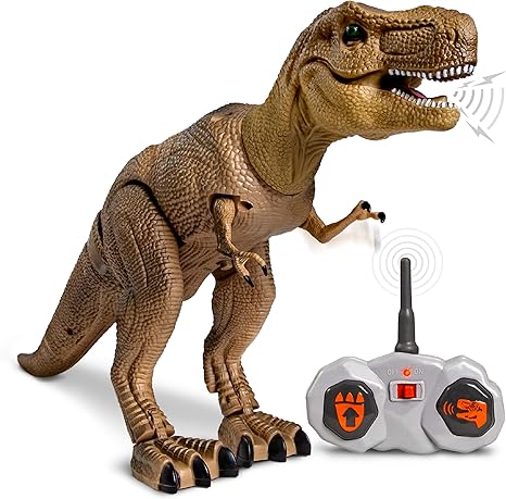 maltese shih tzu toy poodle