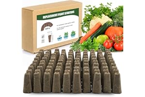 Ambgrow 100pcs Grow Sponges Seed Starter Pods, Indoor Plants Hydroponics Supplies Compatible with QYO, LYKO,Idoo Hydroponics Growing System(Square)