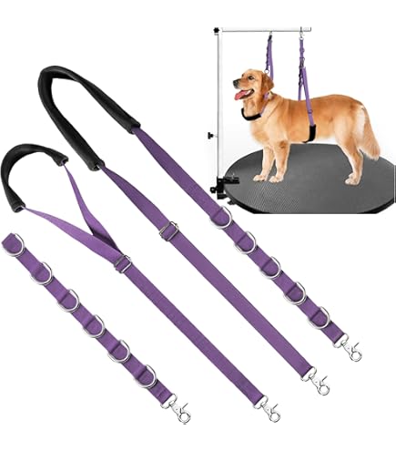 PET 5cm×5m 50cm/loop 可爱汪汪 RCP track and Mini Z GL Racing car