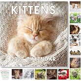 SKYDUE Kittens 2026-2027 Wall Calendar 12"x24" Opened, 16-Month Cat Calendar from July 2026 to December 2027 with Stickers, Thick Paper Monthly Calendar for Home Office Organizing &amp; Planning