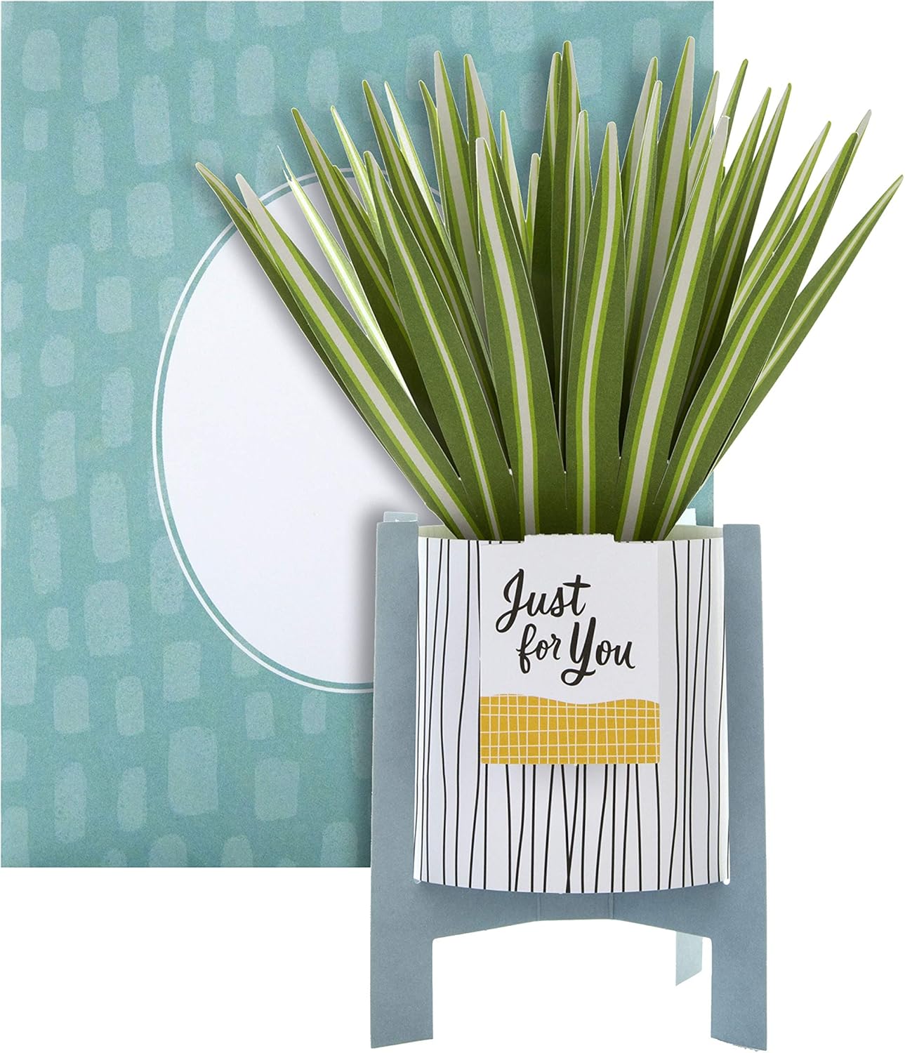 Hallmark Pop Up Card - Contemporary Spider Plant Design, General 3D Spider Plant, 16.5 cm by 13.7 cm